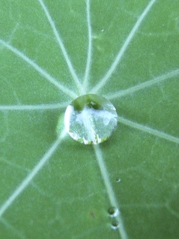 Do You Have a Motto?