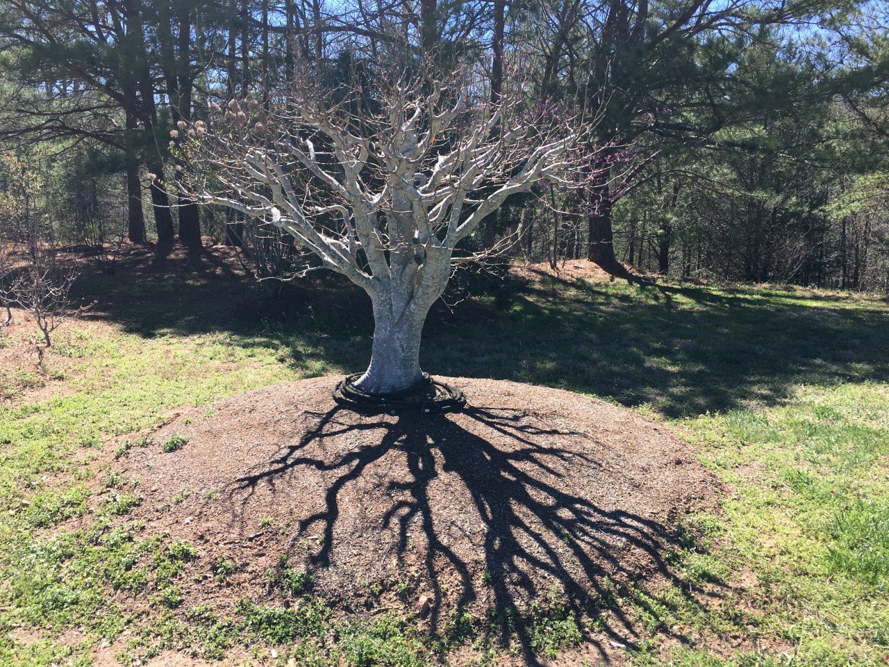 When a Loved One Stops&nbsp;Believing