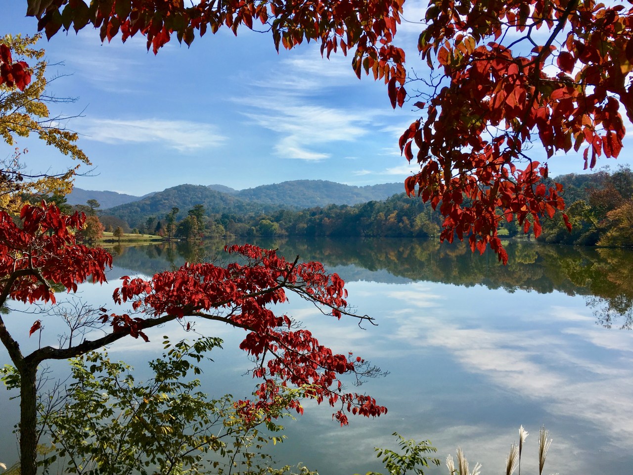 Freethought, Faith and the&nbsp;Future