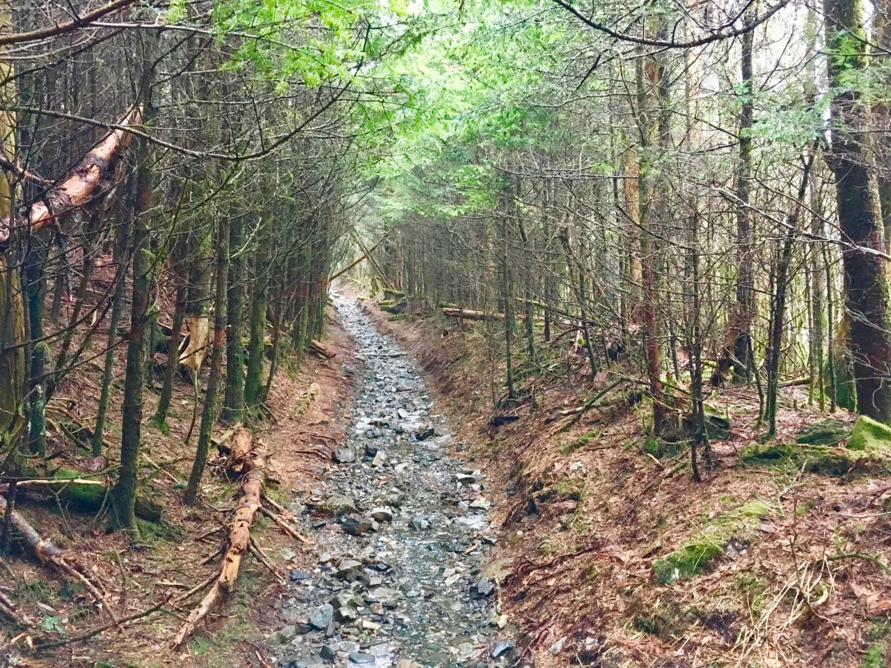 Appalachian Trail