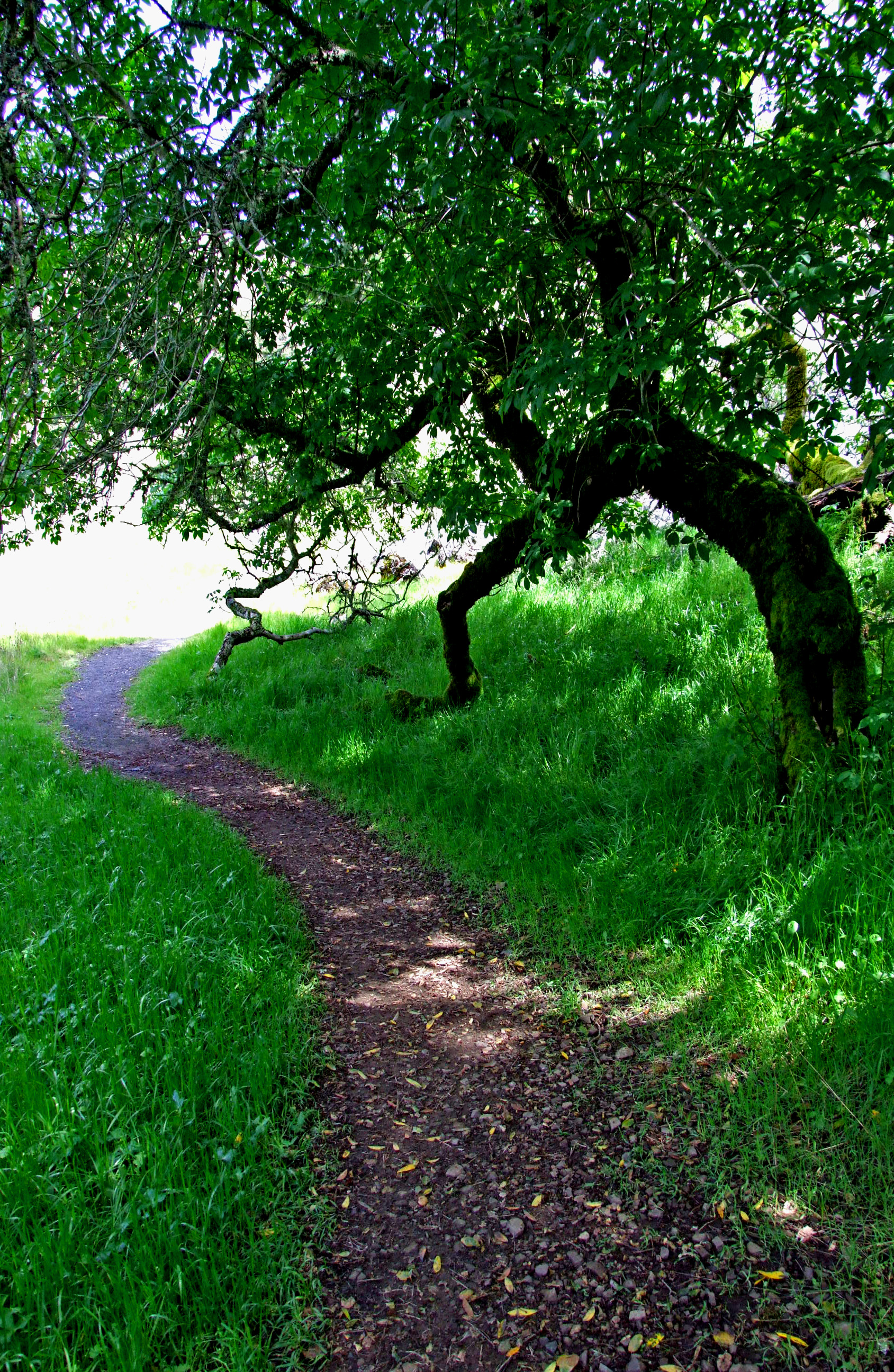 Life After Faith