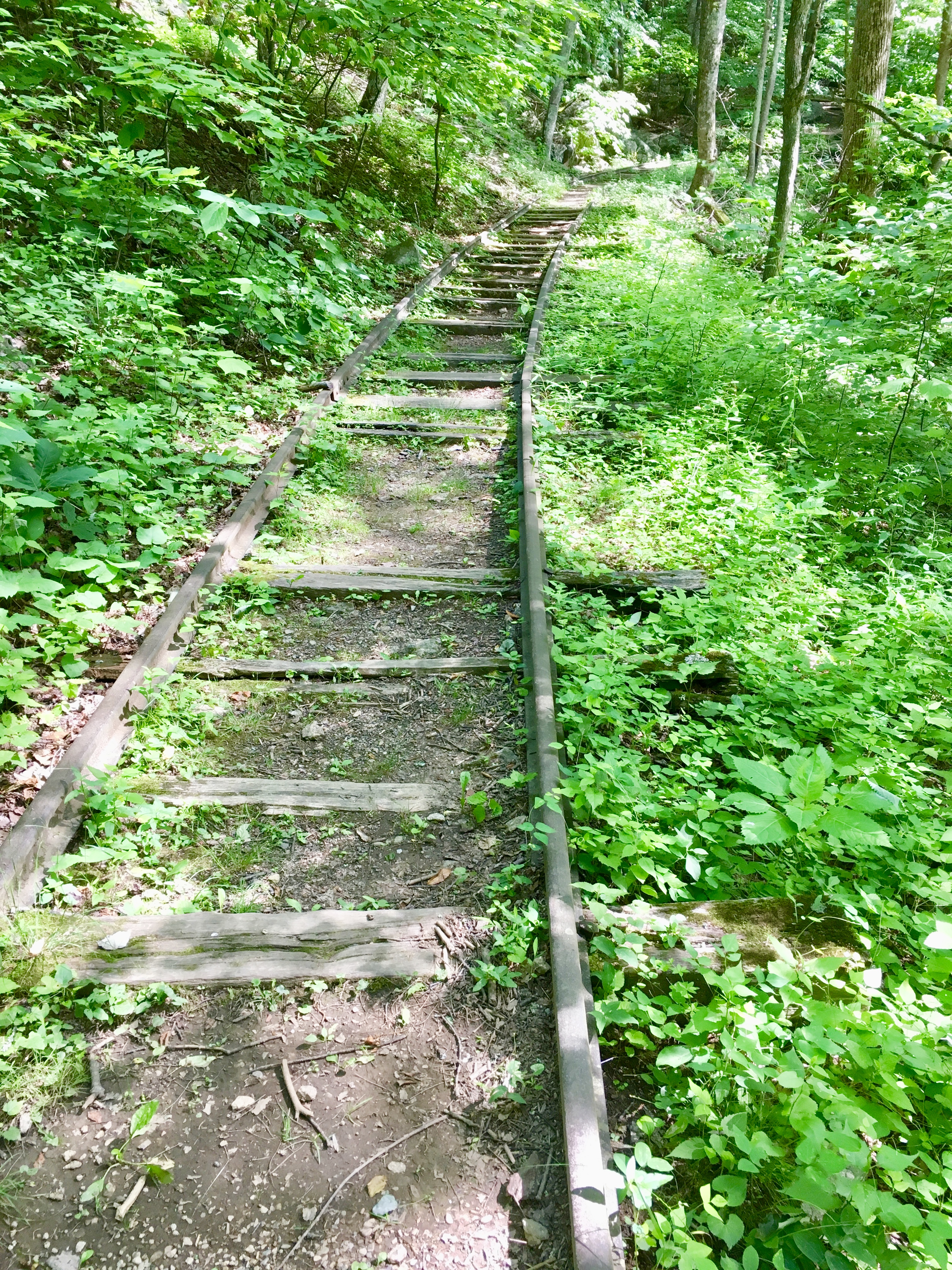 Eleven and a Half Steps to Enlightenment