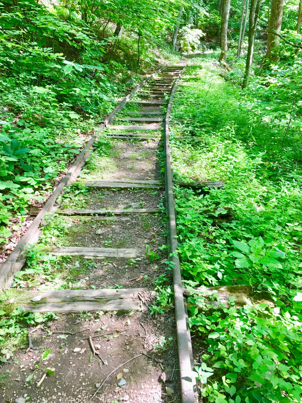 Eleven and a Half Steps to Enlightenment