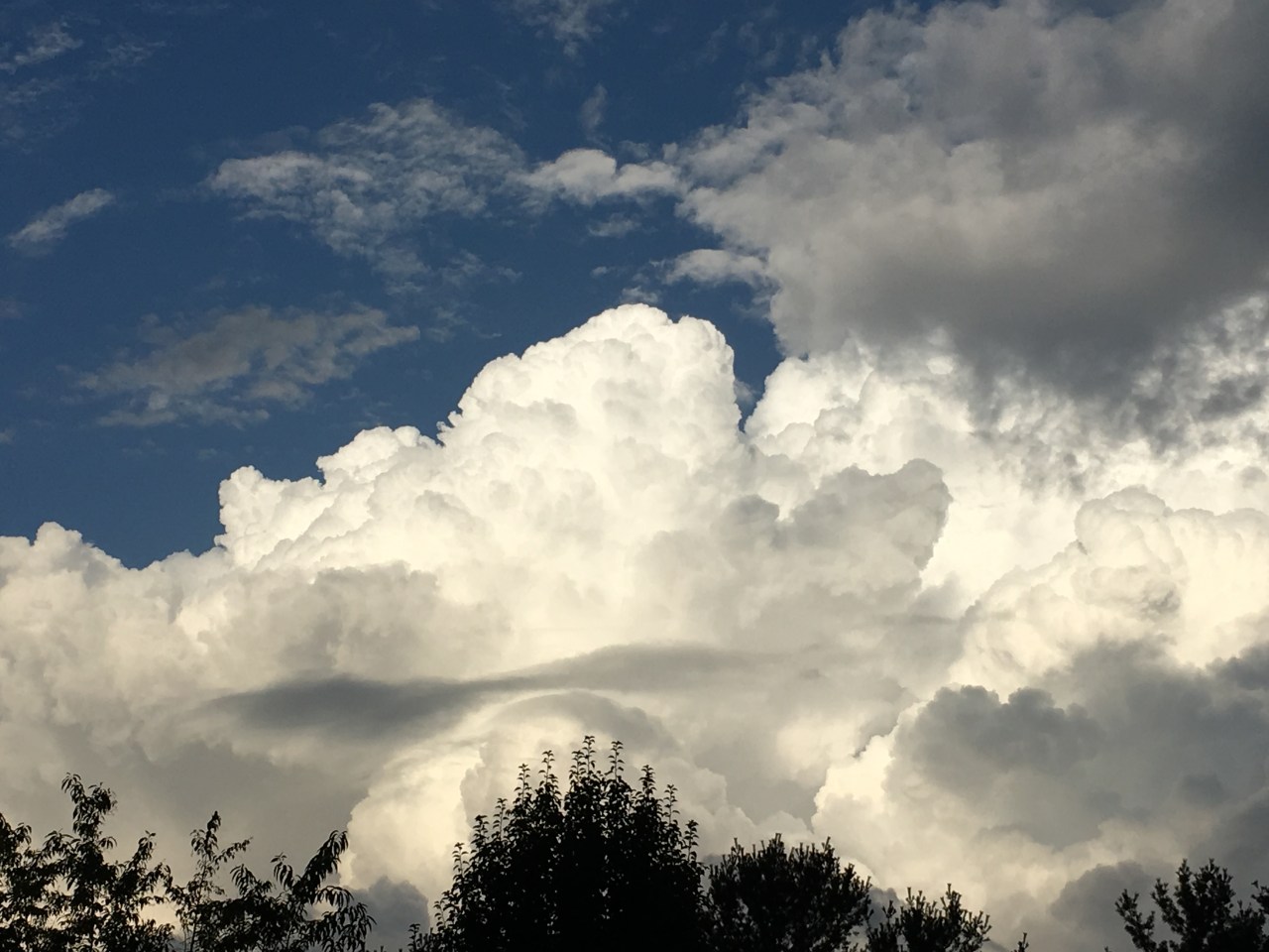 “Progressive Christian”?