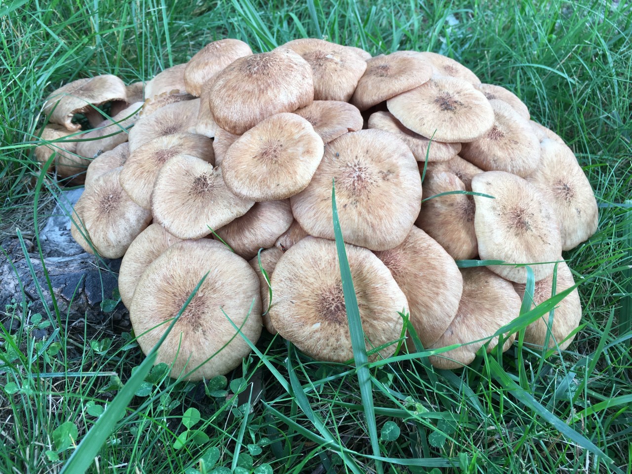 What Do Atheists&nbsp;Want?