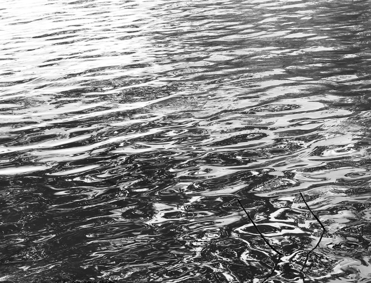 Debunking the Bunkum