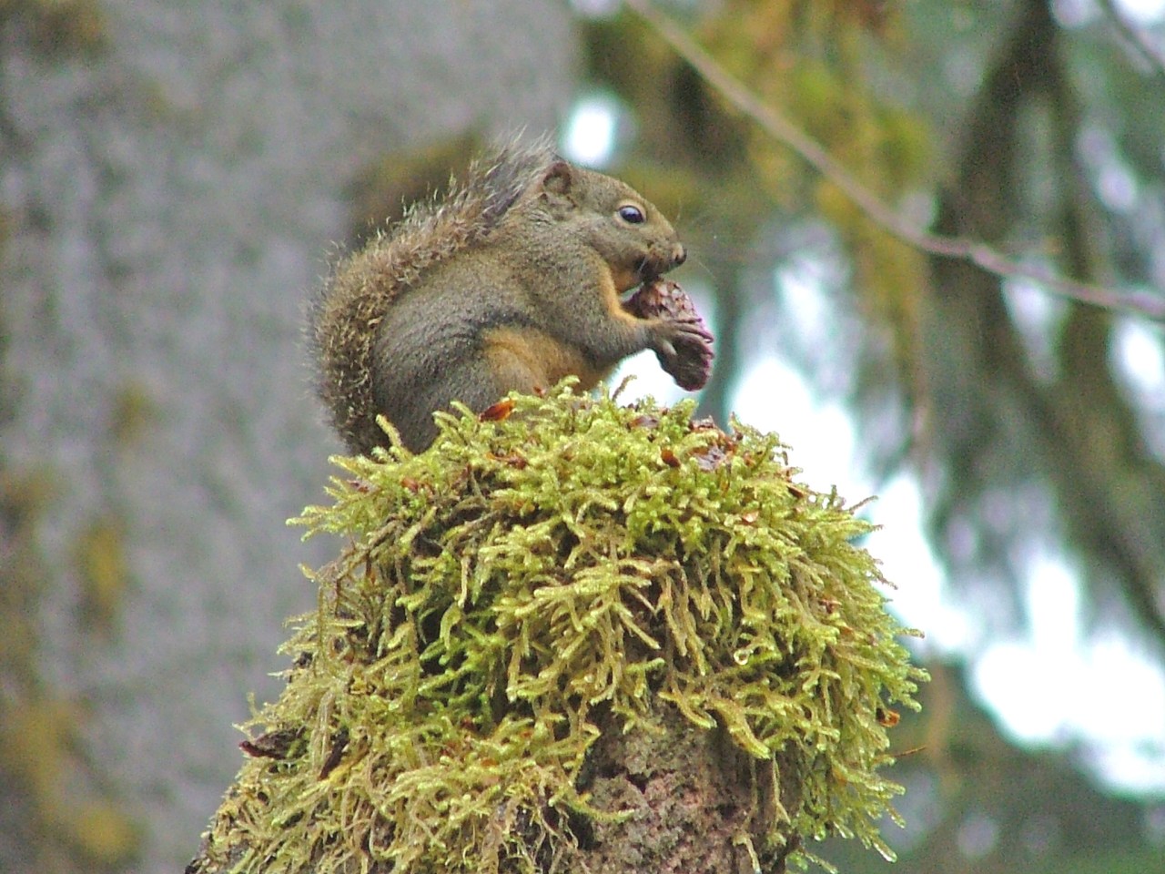 Do You Know Baloney When You Hear&nbsp;It?