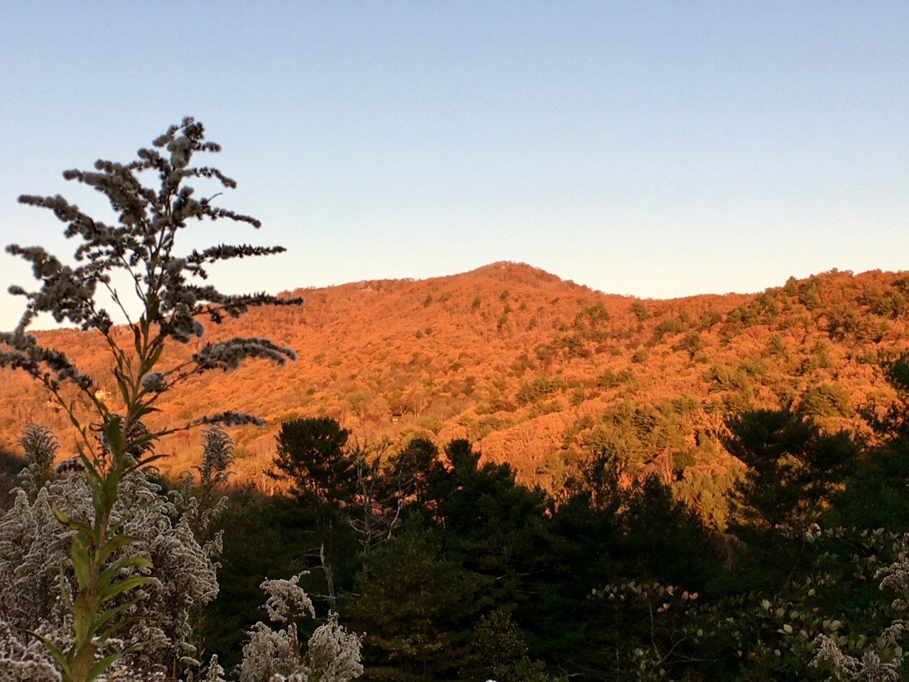 You HAVE to Read&nbsp;This!