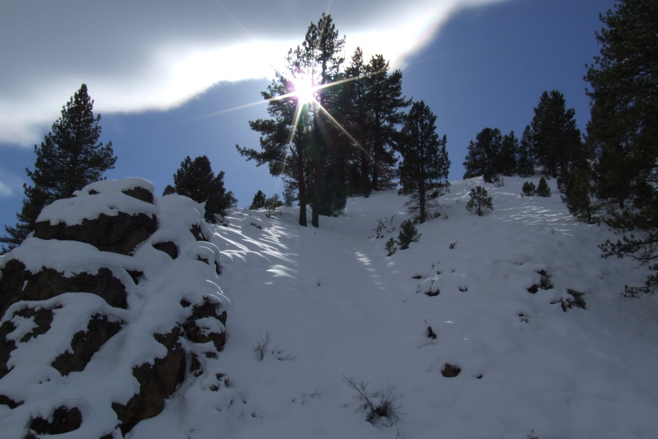 The Mind Has&nbsp;Mountains