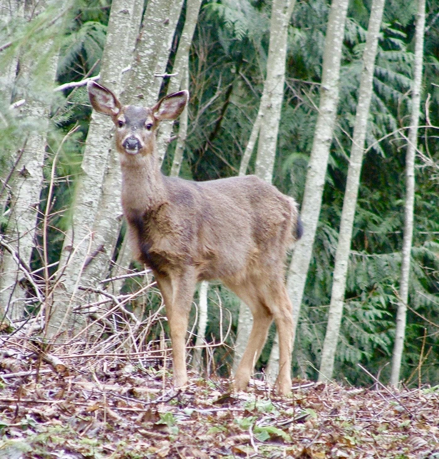 Hunting Season for Game, and God?