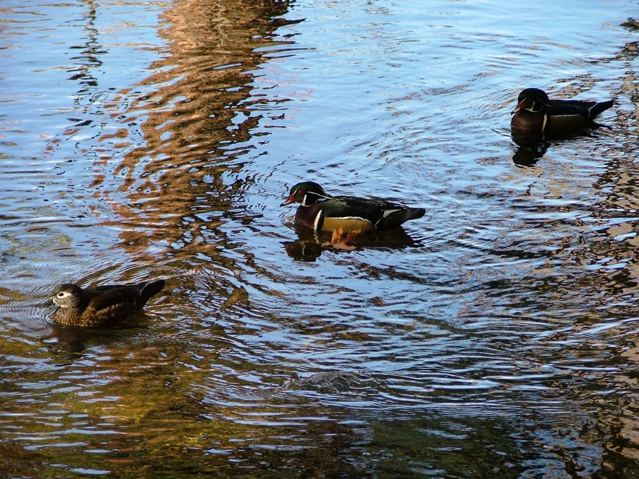 Leadership for Dummies