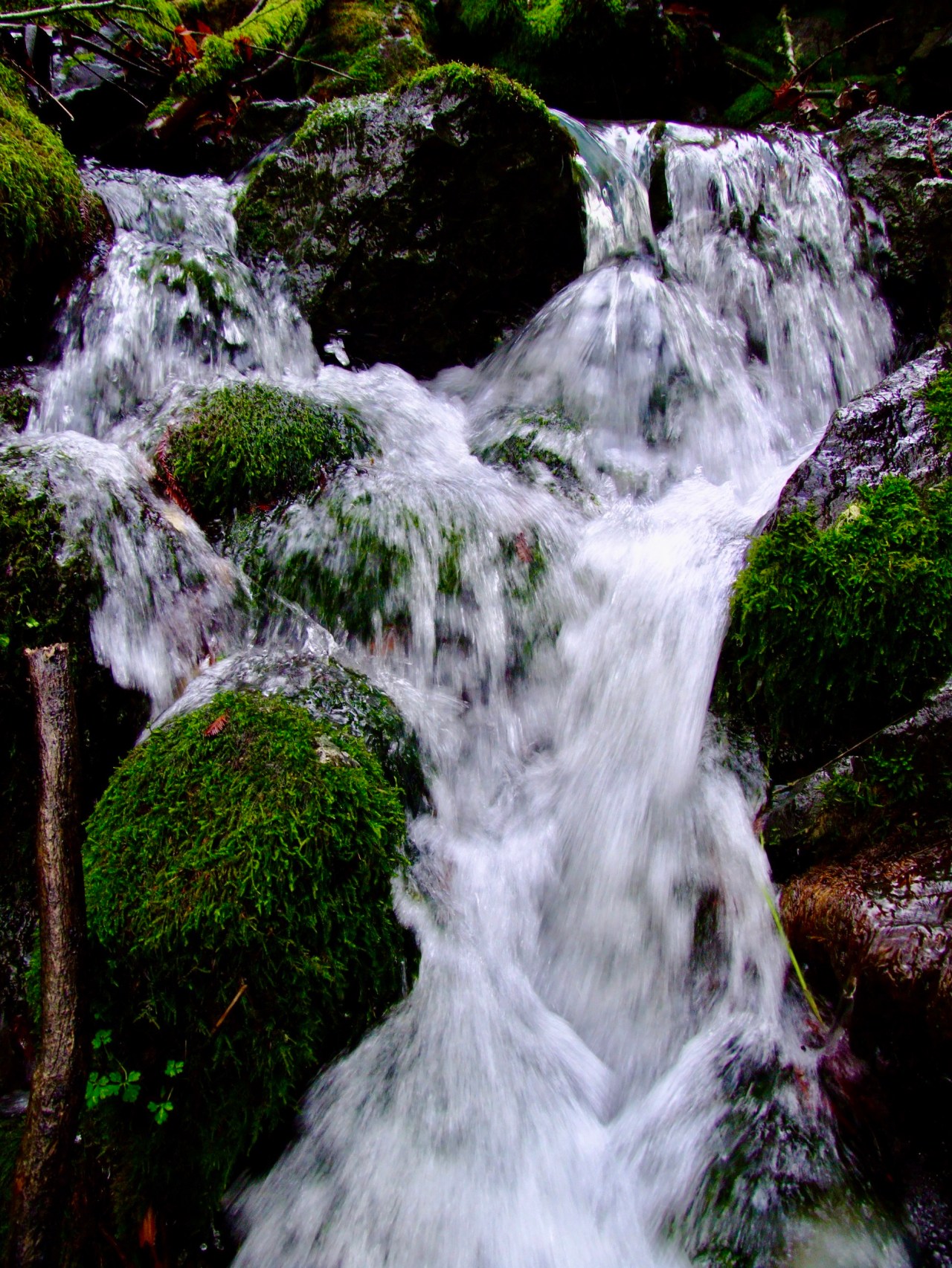 Religion and Politics