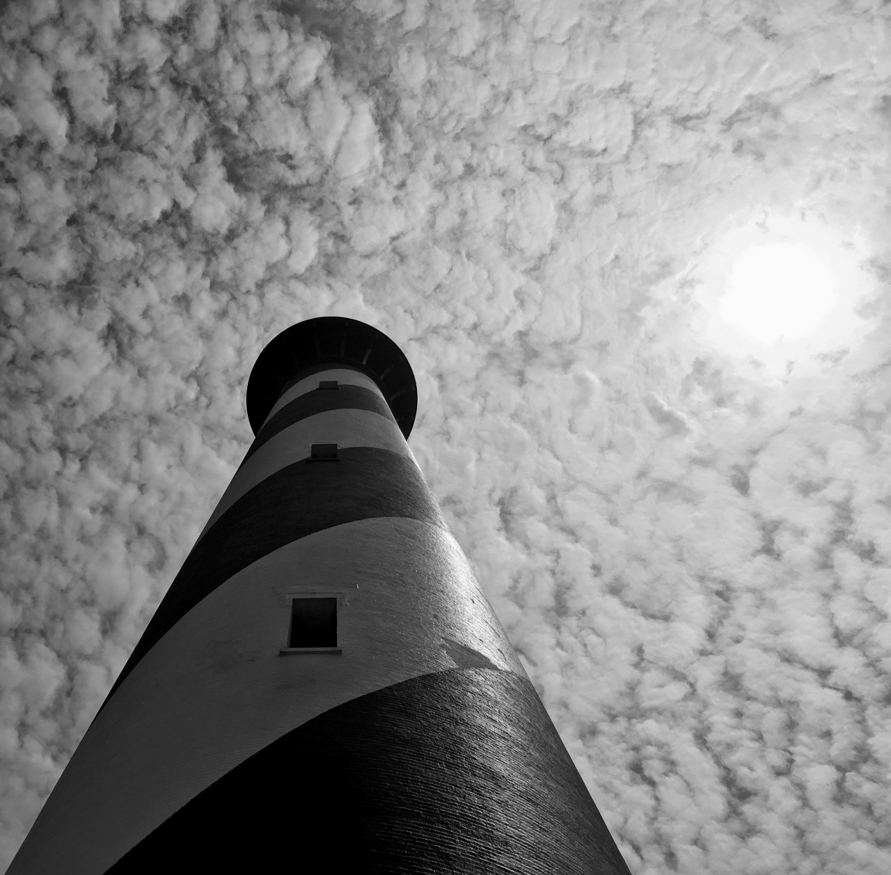 Virus of Irrationality