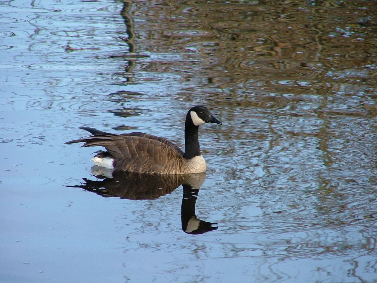 A-faith, not Anti-faith