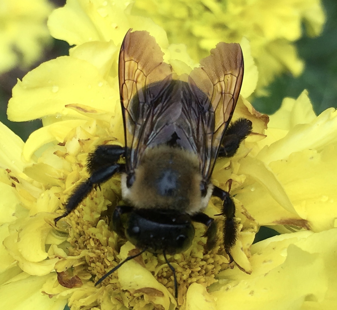 How to Get the Most&nbsp;Life