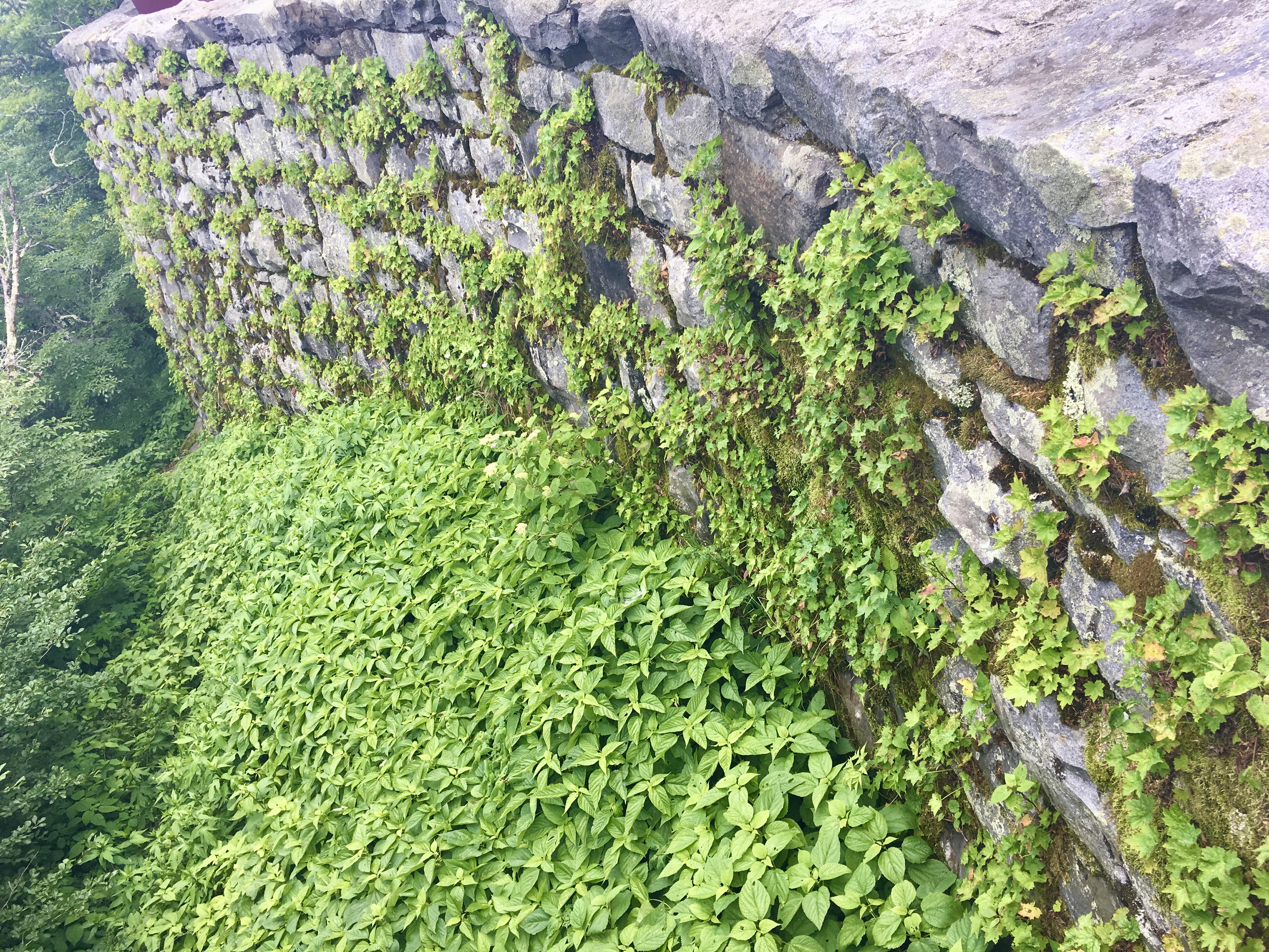 And the Wall Came a-tumblin’ Down