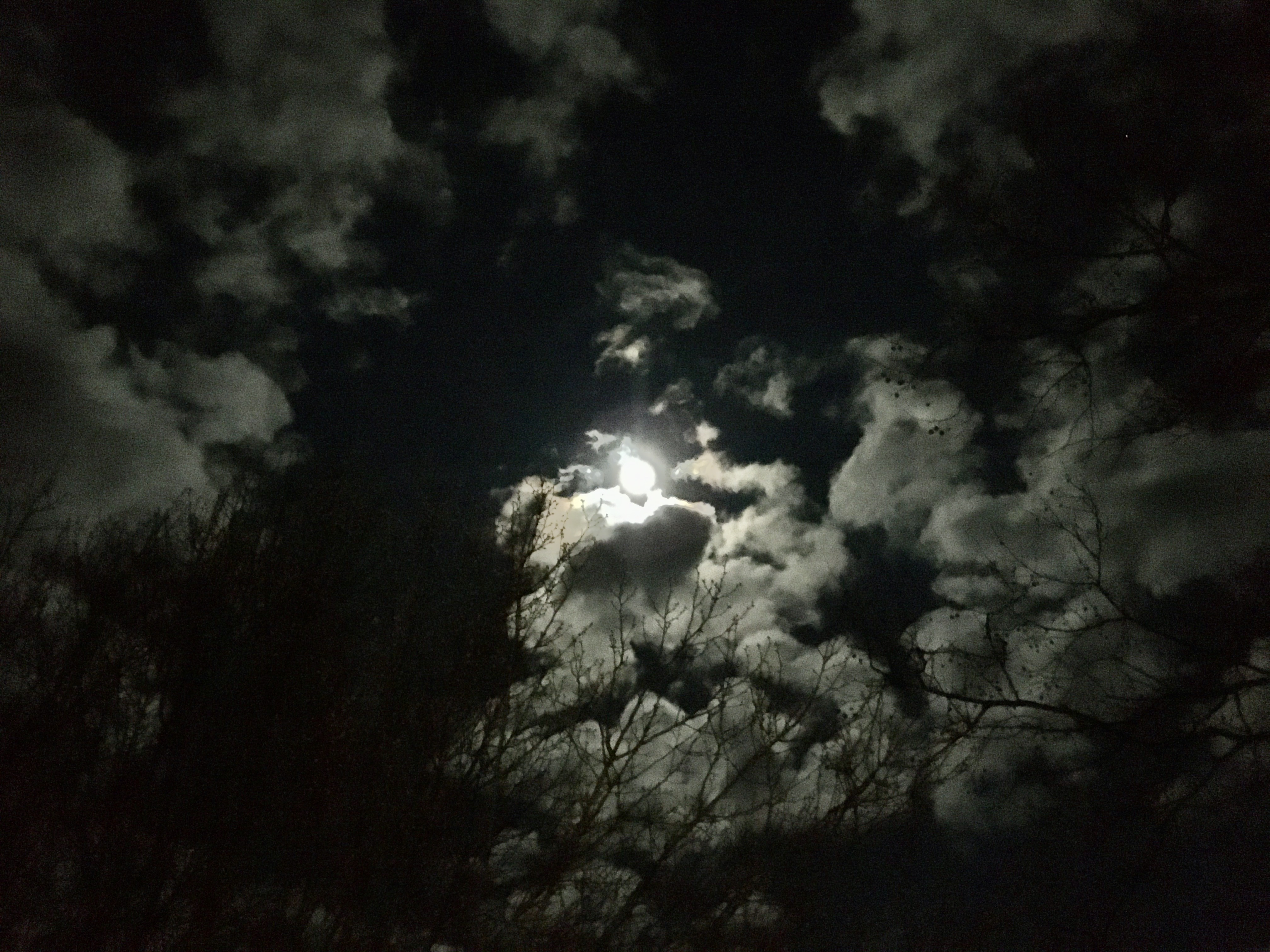 Moon Shine