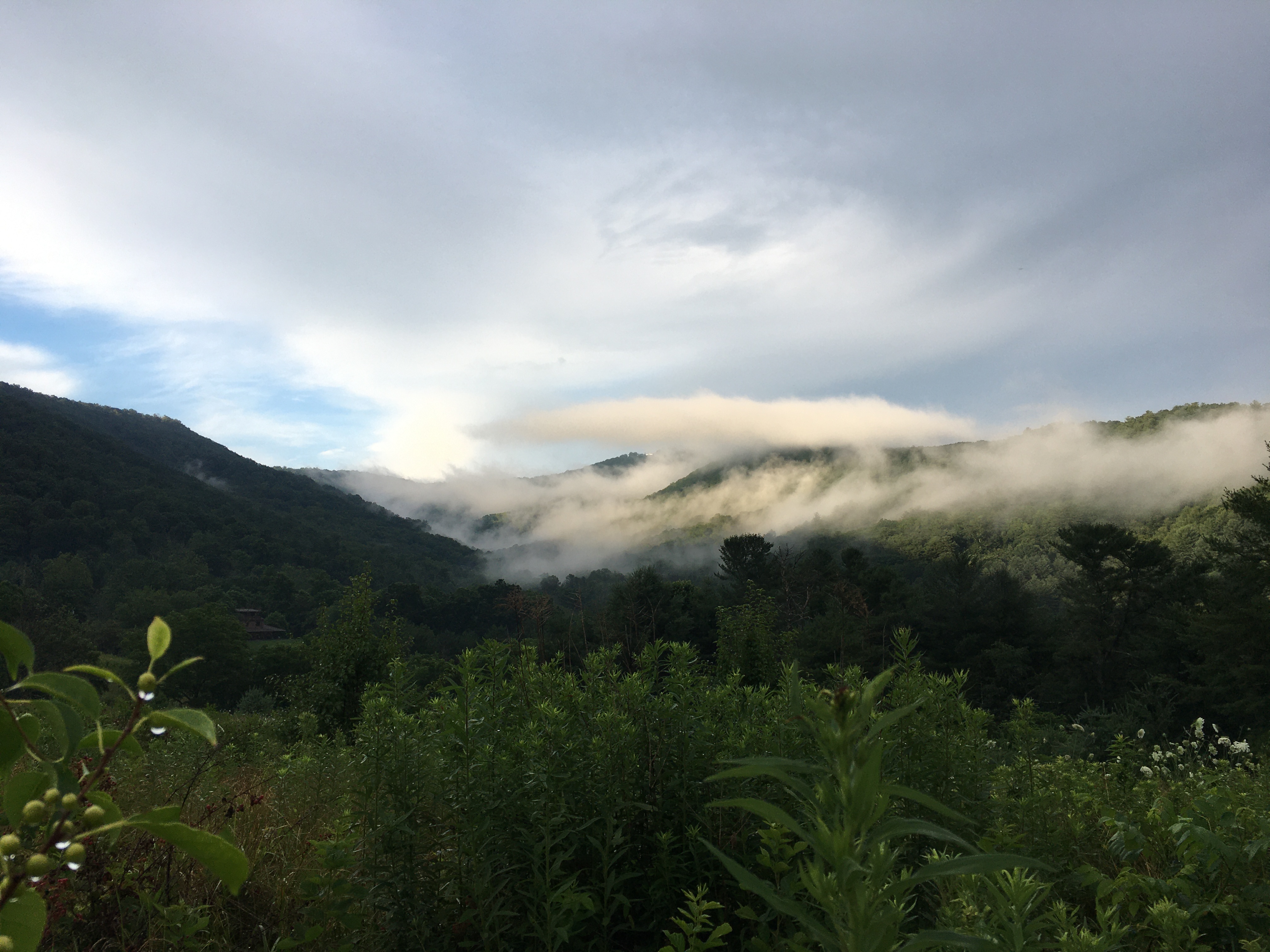 Mountain Summer Evening
