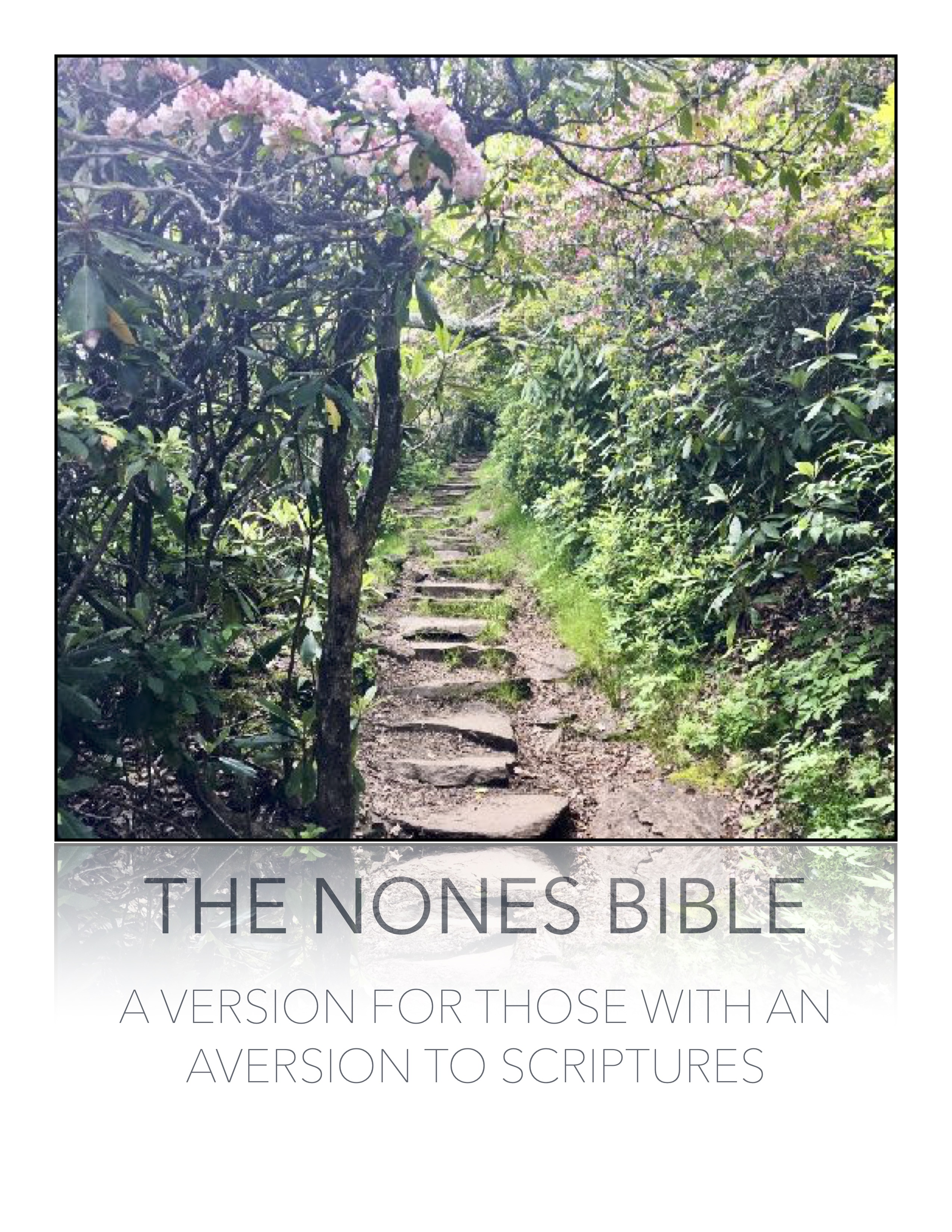 Nones Bible: Chapter Six