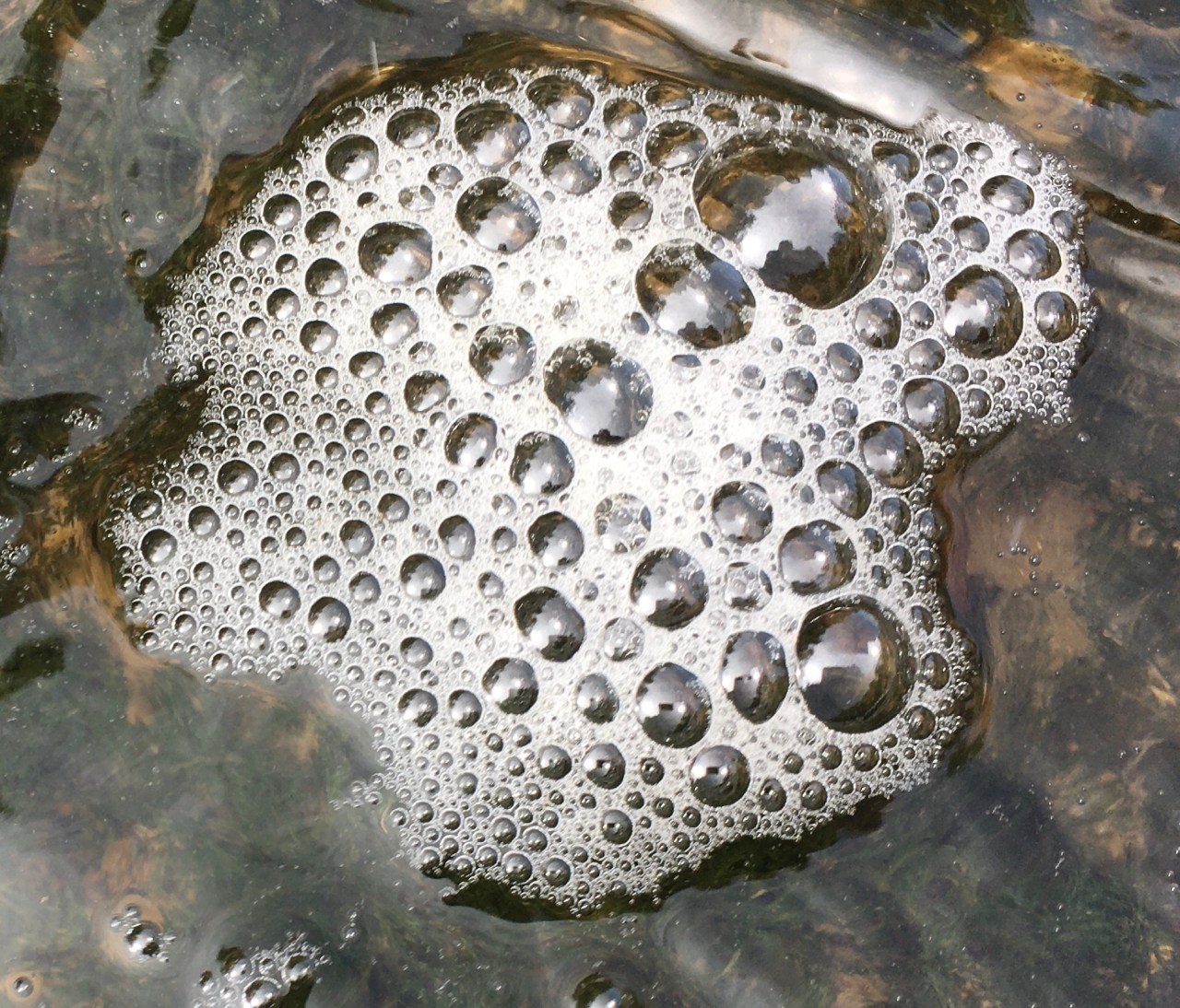 Super, Natural Poetry