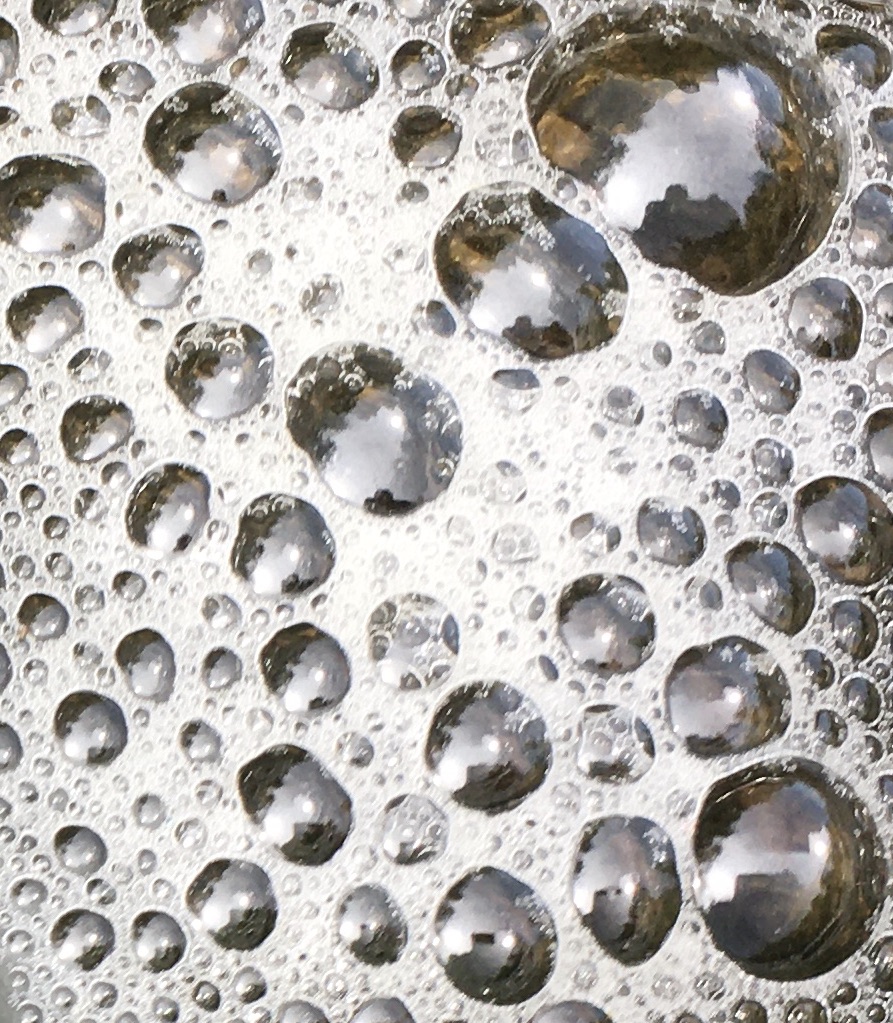 One Nation Indivisible?