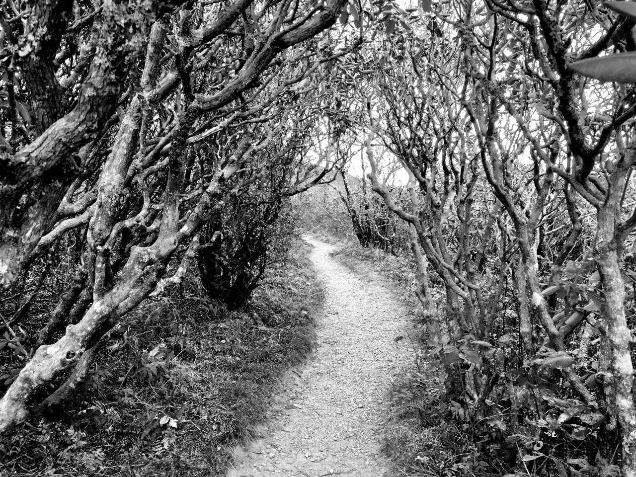 How to Kick a&nbsp;Cult