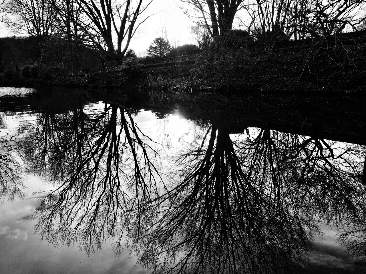 Autumn wants to be&nbsp;Winter