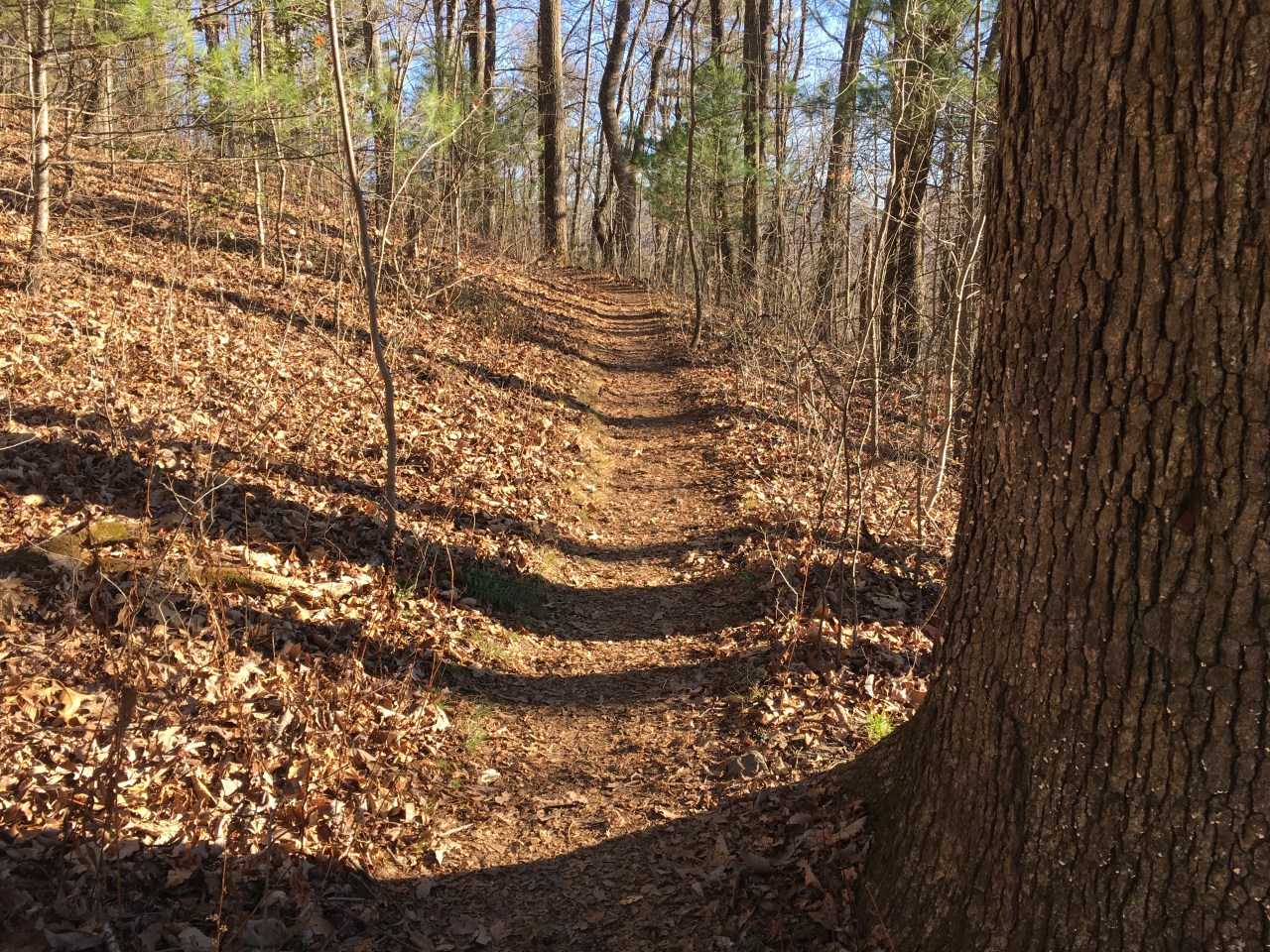 Secular Conversions?