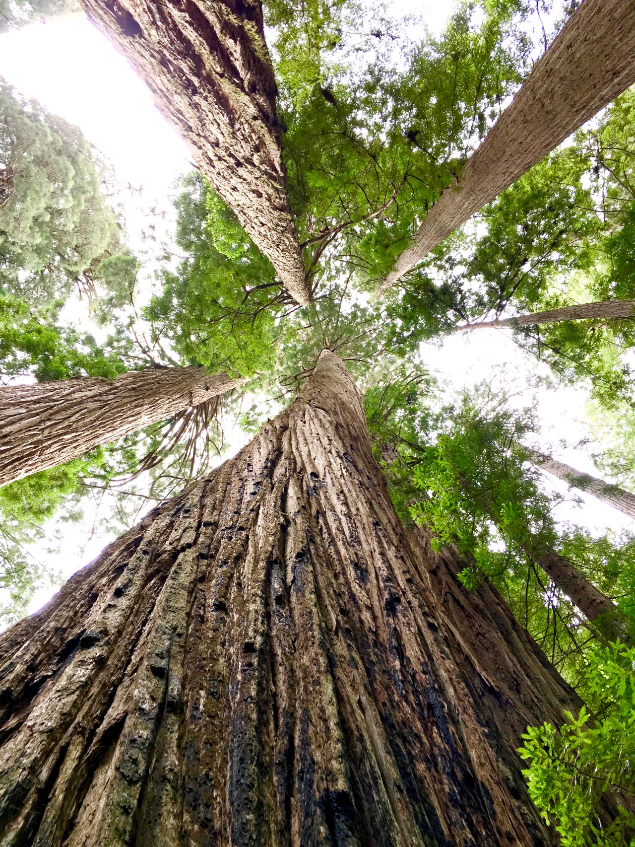 Graceful Atheist Interview