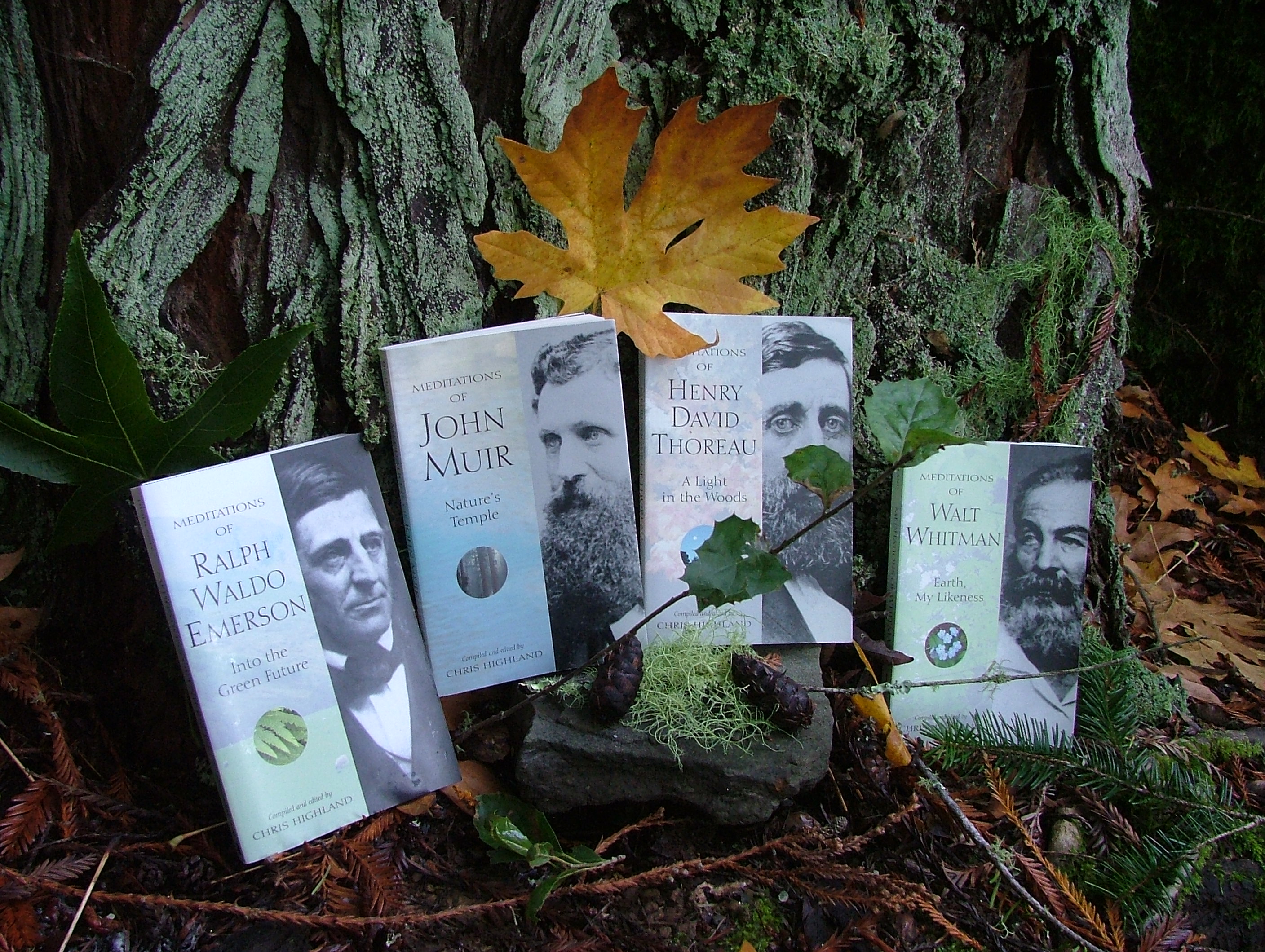 20 Books, 20 Years