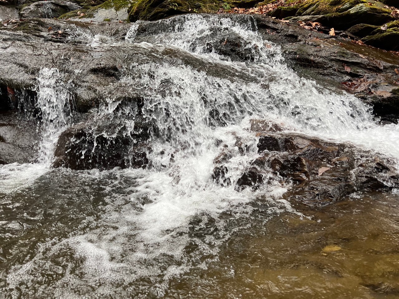 The Faithful Atheist