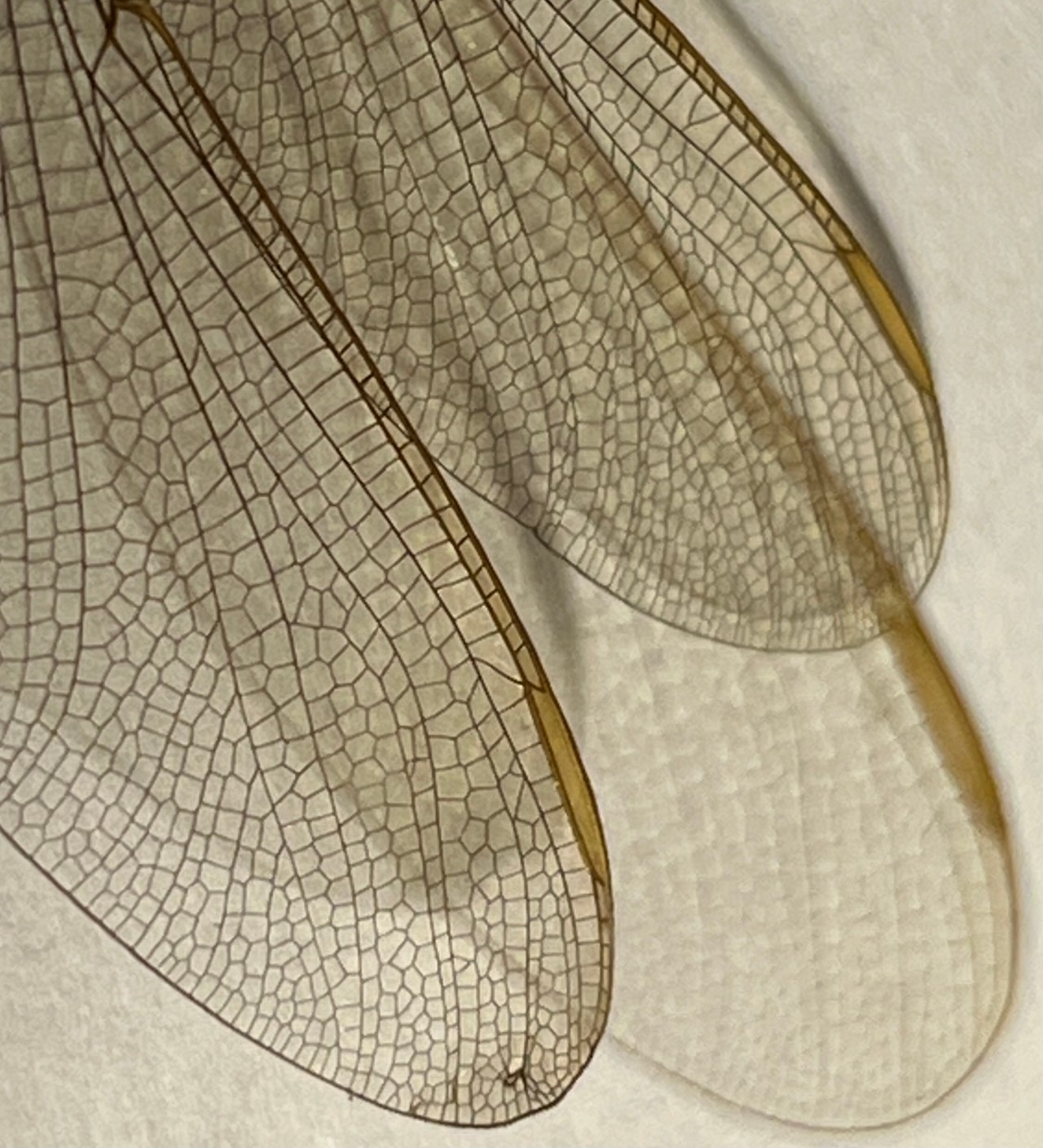 How Can You Not&nbsp;Believe?