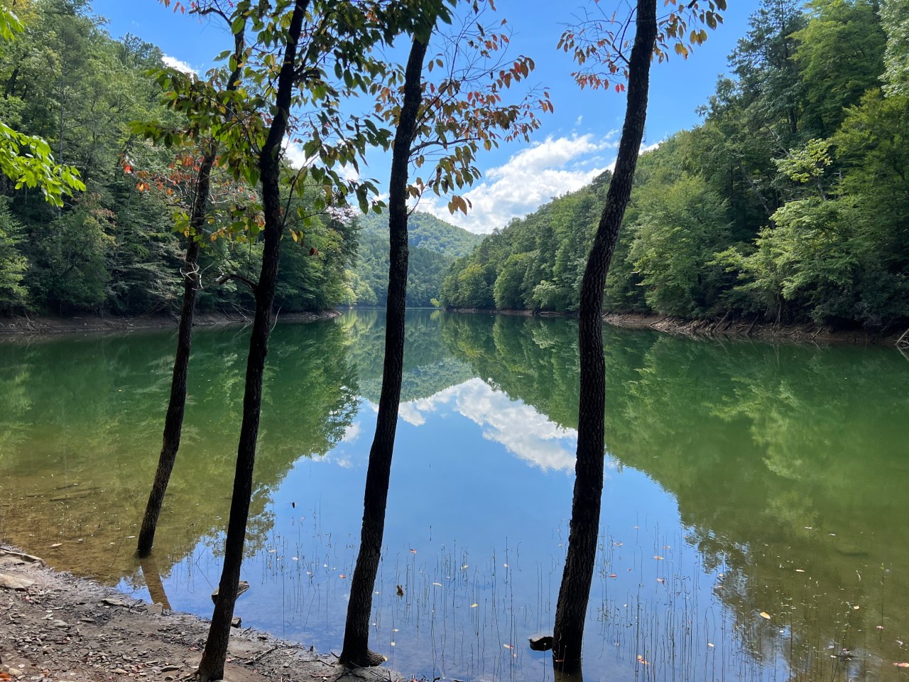 “Deconstruction”