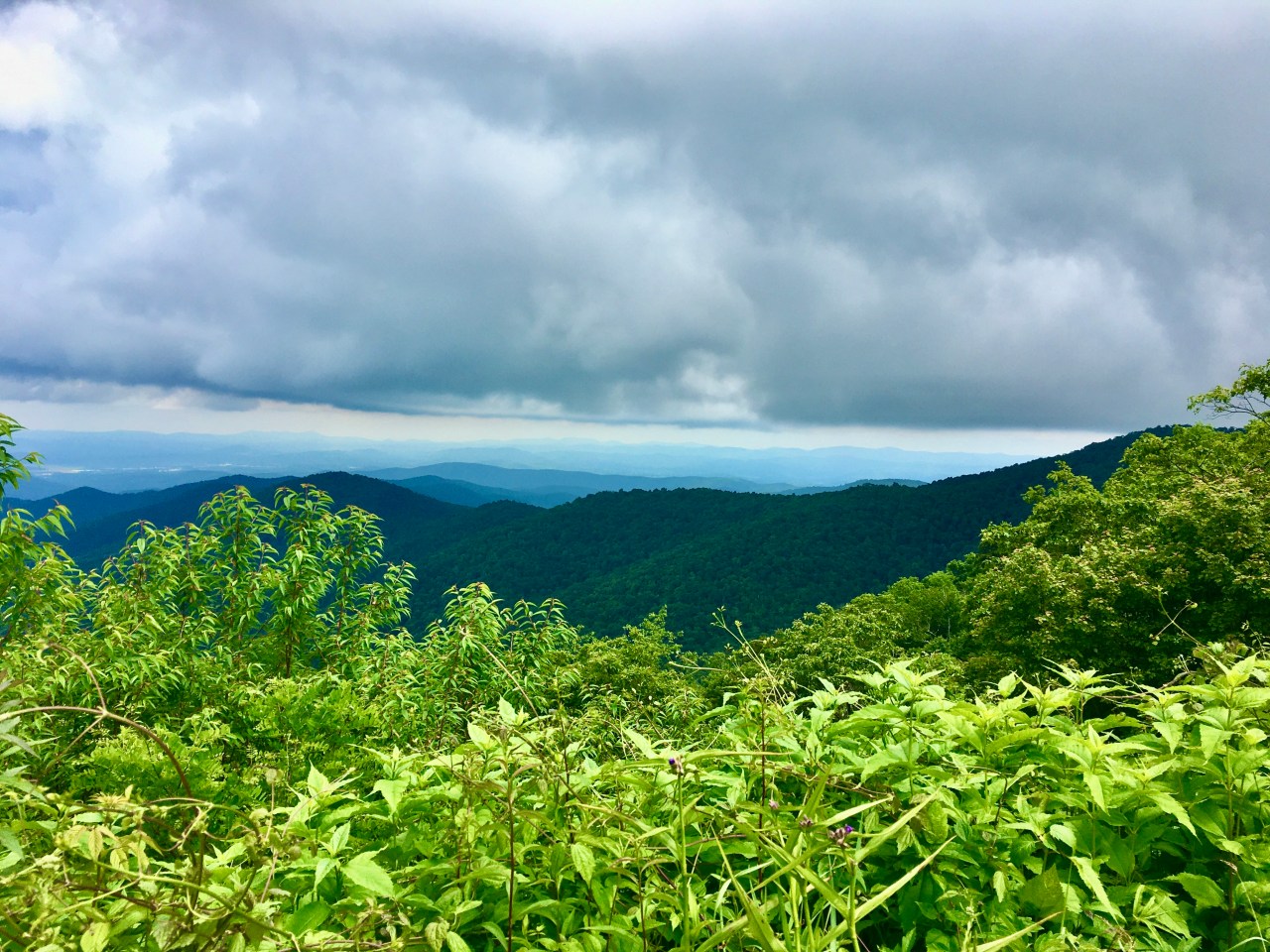 Why Do We&nbsp;Help?