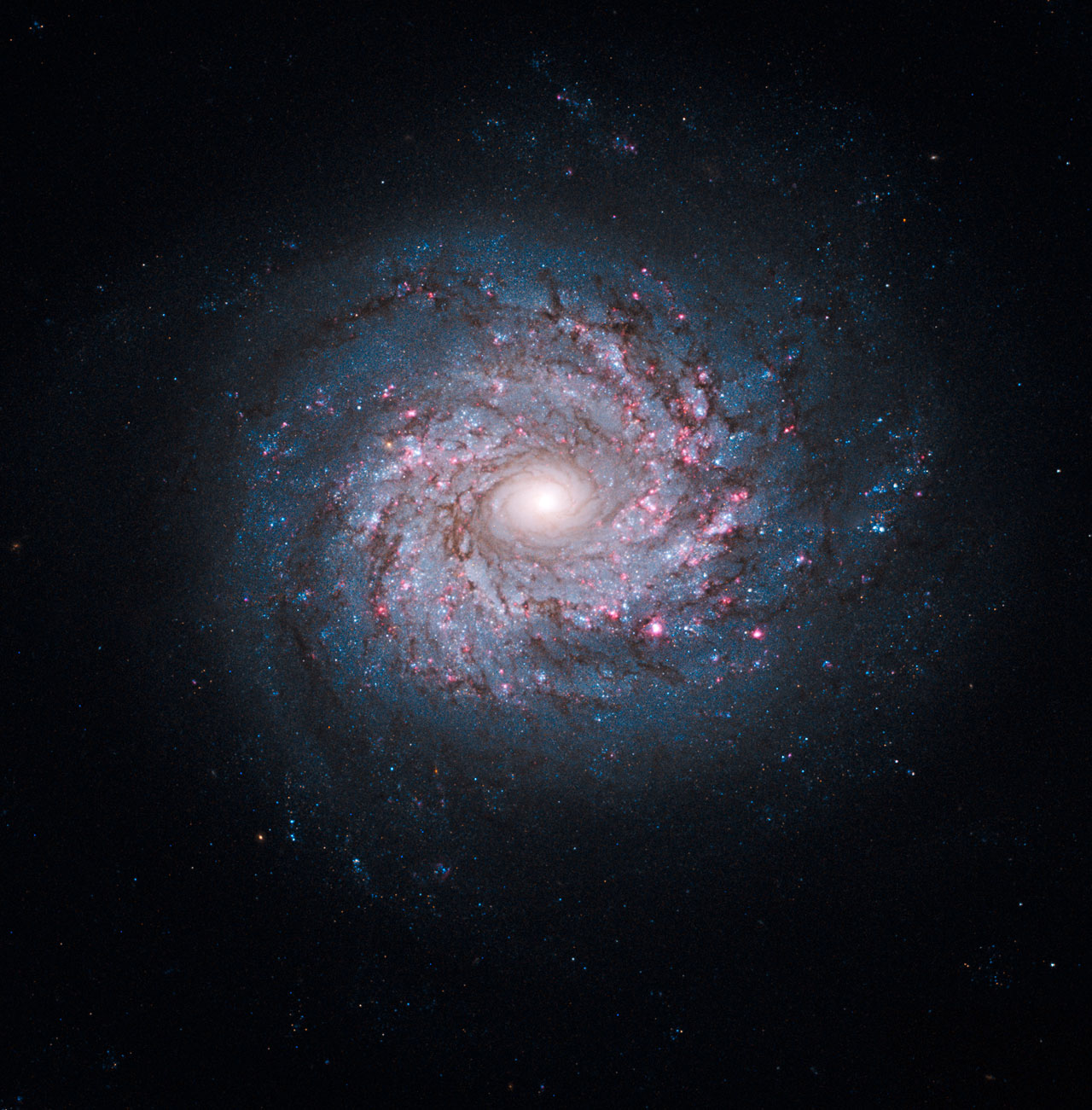 Seizing the Star