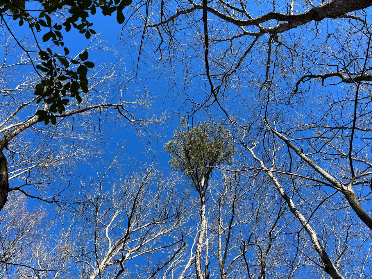 What *Some* Christians&nbsp;Believe