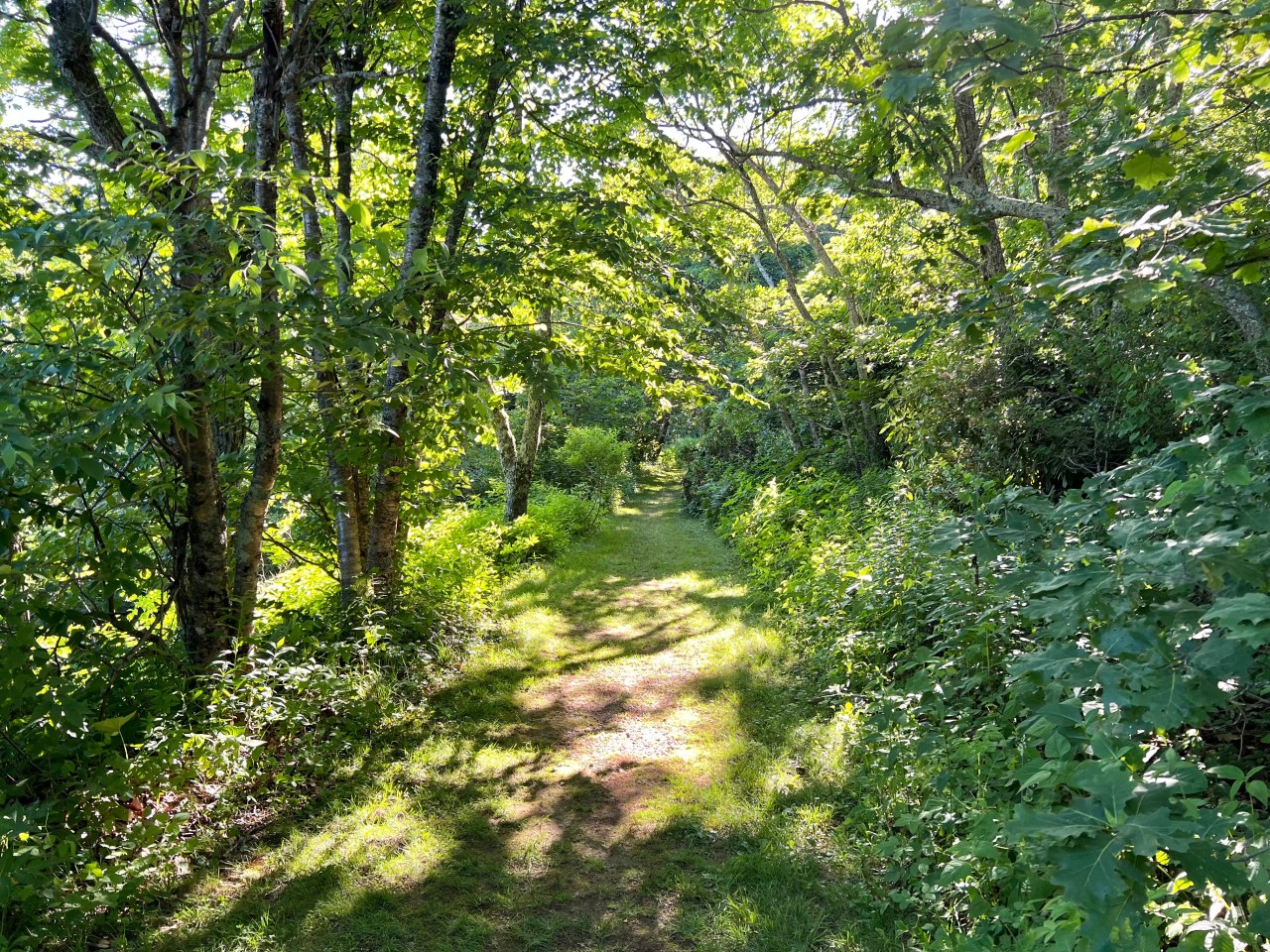 Who Follows the Teachings of&nbsp;Jesus?