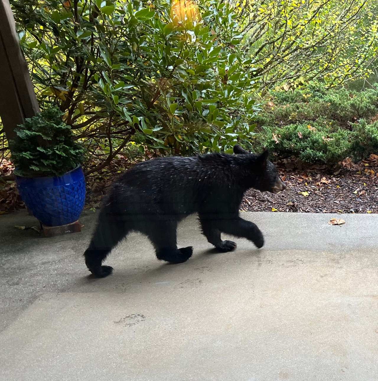 A Freethinker’s Gospel