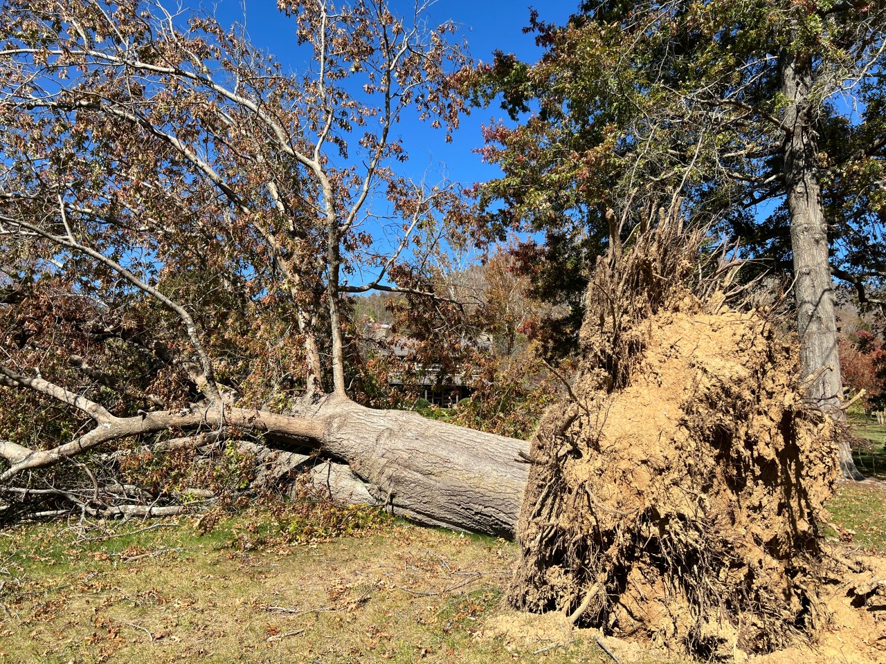 Bring Nothing, Take&nbsp;Nothing