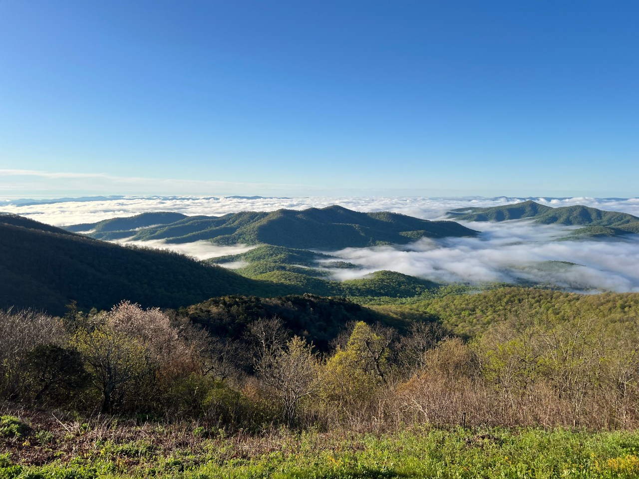 Think on These Things … Relief&nbsp;Belief