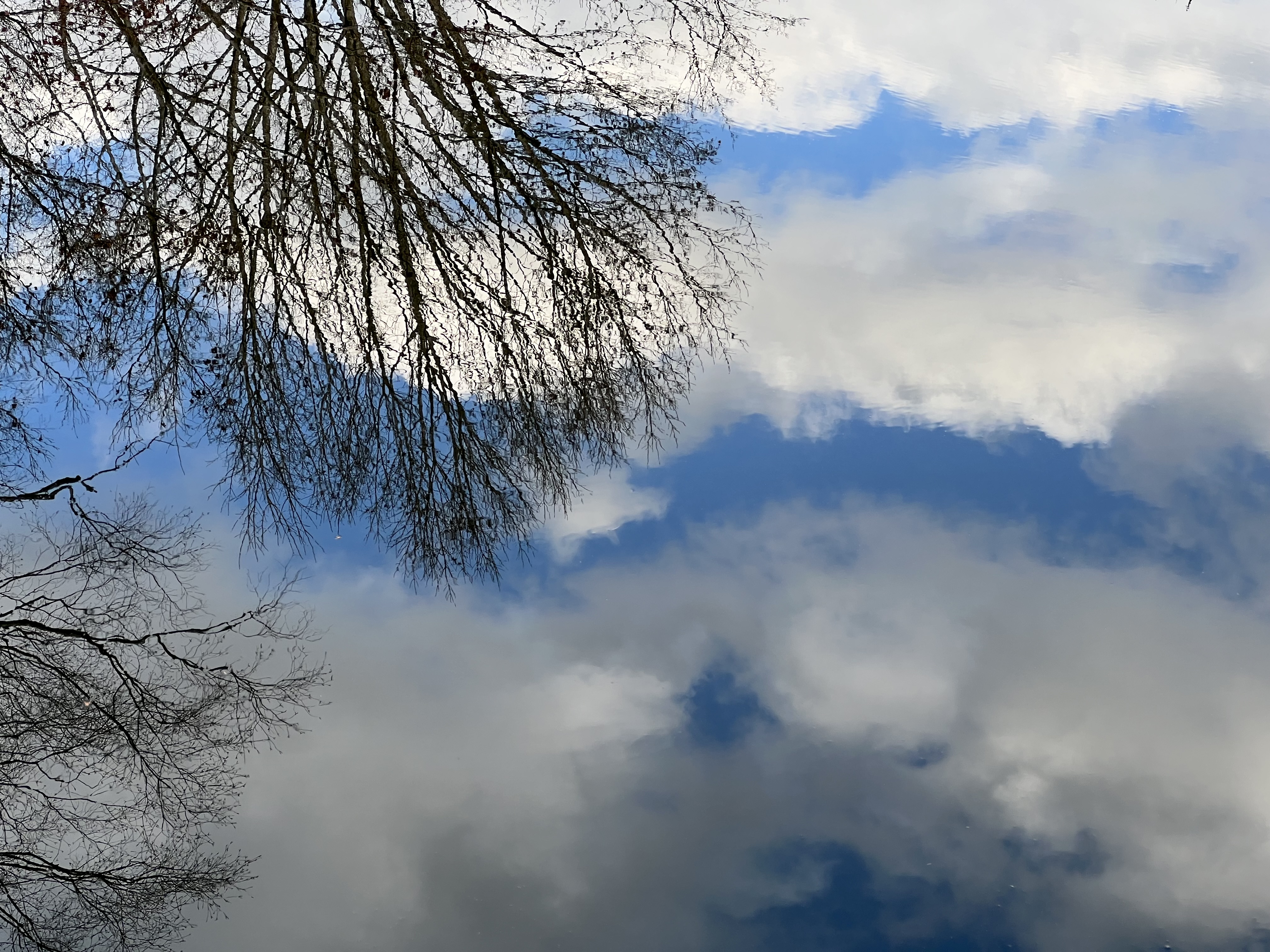 Reflections in the Eye of Earth